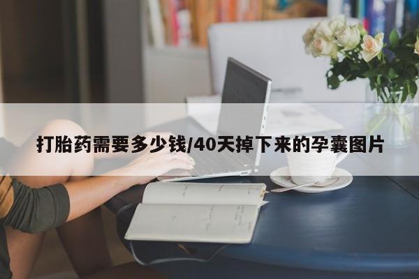 药流药在线付款打胎药需要多少钱/40天掉下来的孕囊图片